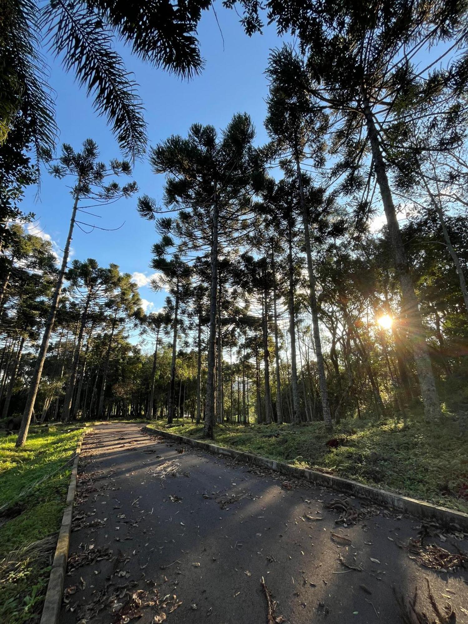 Ville Del Bosco Hotel Sao Marcos Экстерьер фото